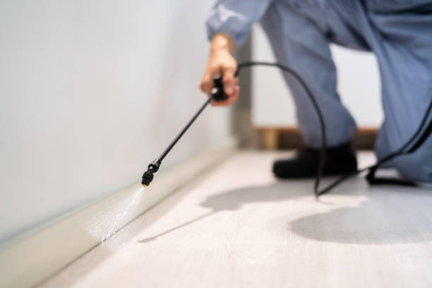 Licensed Pest Control service in Trinity, NC - Show Me Pest Control