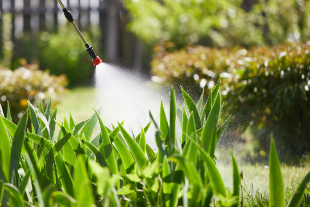 Tamper-Resistant Bait Stations for Rodents in Trinity