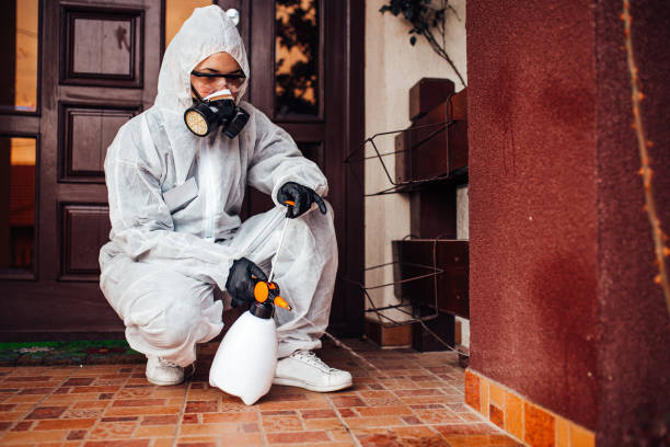 Attic and Crawl Space Rodent Treatment in Trinity